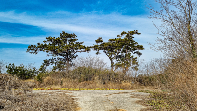 매화리 마산