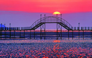 Jjangtoongeo(mudskipper) Bridge 