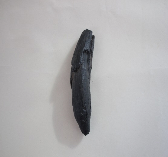 1811-1812. 고래이빨화석 1