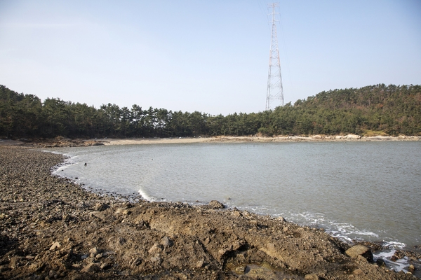 안좌 자라도 동북쟁이해변 2