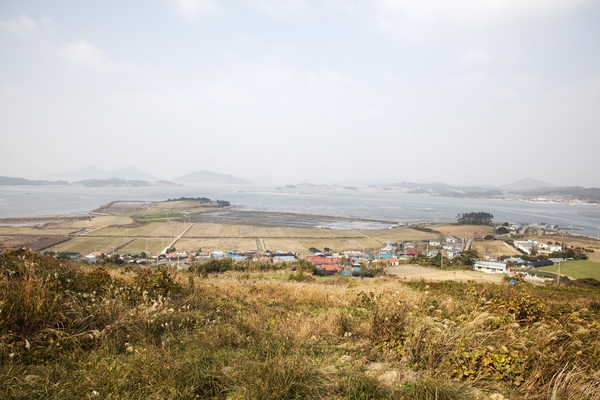 안좌 자라도 망회산 생태숲전망대 4