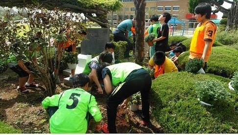 학교4-H회원 꽃피는 천사섬 만들기 앞장..