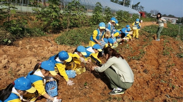 신안군, 농·어촌 체험 즐길 수 있는 농촌교육농장 육성..