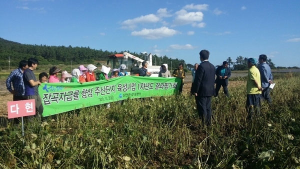 신안군! 잡곡 자급률 향상 시범사업 평가 