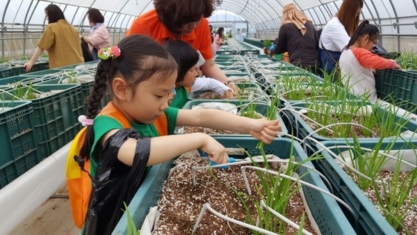 신안군, 농업기술센터 초·중·고생 농촌체험장으로 탈바꿈..'미래의 농촌지도자 육성을 위한 기대감 커' 1