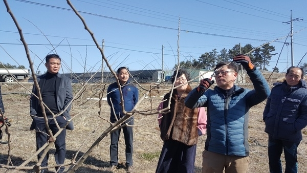 신안군, 꾸지뽕 봄철 정지전정 현장실습 교육 실시 !! 2