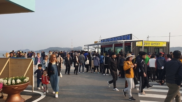 신안1004섬수선화축제 대성황..'수선화축제 종료후에도 4월말까지 꽃 관람은 계속' 2