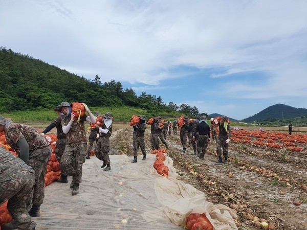 신안군, 장마철 대비 긴급 일손돕기 실시! 2