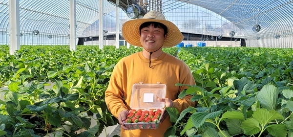 신안군, 청년 농업인 경영실습 임대농장 임차인 모집..'청년 창업농을 위한 스마트팜 임대농장 모델 구축' 2