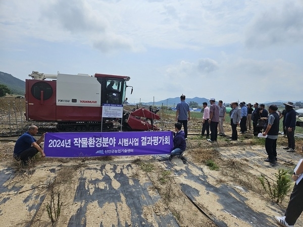 신안군, 참깨 콤바인 수확으로 일손 부족 해결에 앞장..