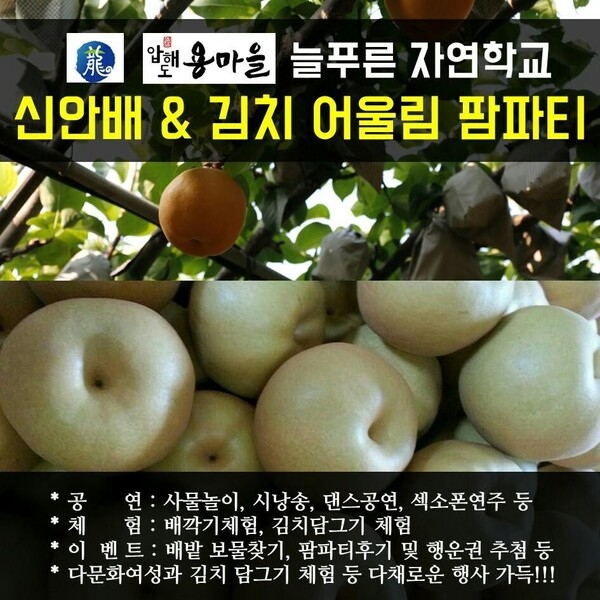 신안배 & 김치 어울림 팜파티에 여러분을 초대합니다. 2