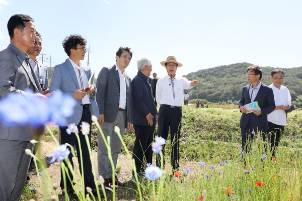 2019.05.20 하동군 꽃양귀비축제 및 화개장터 현장방문 1