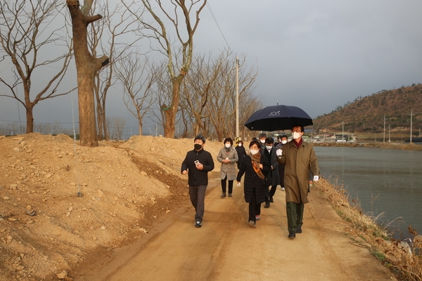 2020.12.18 도초면 팽나무 숲길 현장방문 1