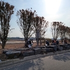“신안군 전역 총 12만주 수목 비료 시비”