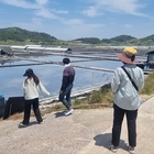 신안군, 염전근로자 인권 문제 제로화를 위한 행정지도 시행..'매월 찾아가는 1:...