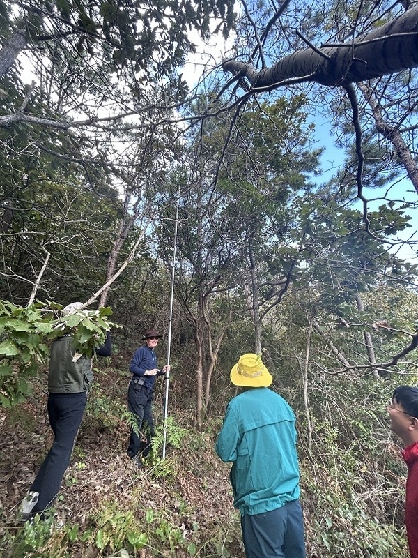 신안에서 세계 최대 직경 모새나무 군락지 발견..'모새나무 군락지 실태조사 및 보호 방안 마련'1