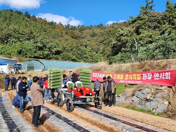 신안군, 양파 재배 기계 정식 연시회로 기계화 촉진..'농촌노동력 부족 해결 및 경영비 절감 효과 기대'1