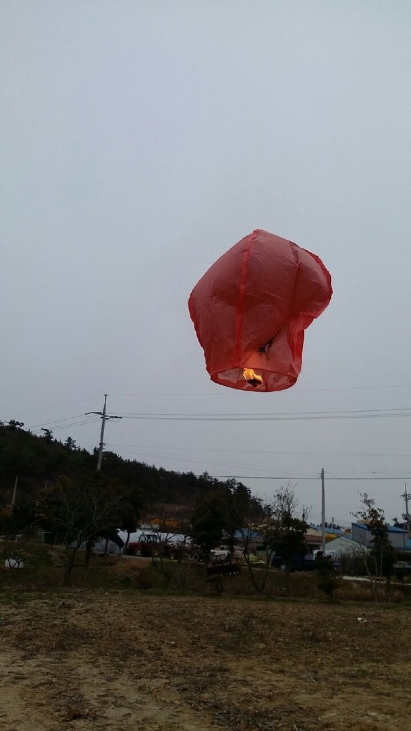 신안군 팔금면 『풍년기원 정월대보름 달집태우기 행사』 개최  3