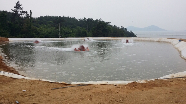 신안군, 새우양식장 대다수 정비 완료 1