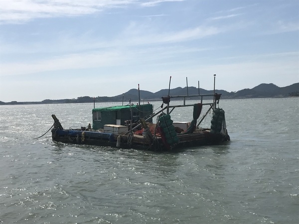 신안군 어업질서확립을 위한 무허가 바지선 일제정비 2
