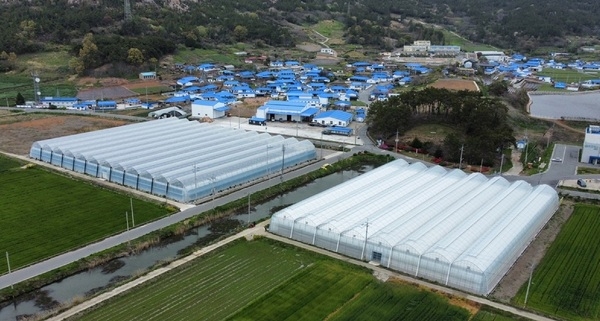 신안군, 청년 농업인 경영실습 지능형 농장 임차인 모집..