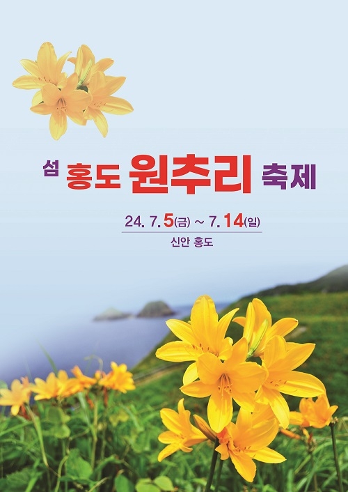 비를 기다리는 유일한 축제 ‘섬 홍도 원추리축제’ 개최..