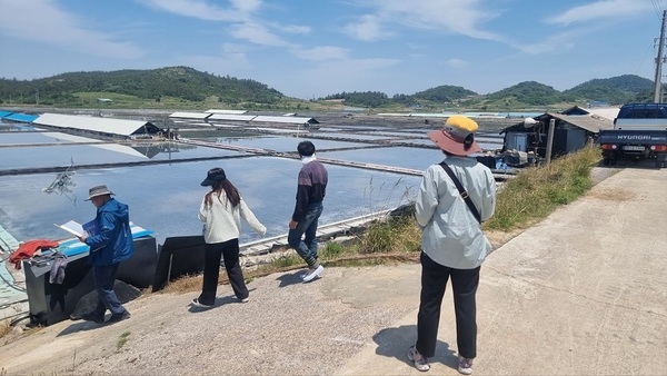 신안군, 염전근로자 인권 문제 제로화를 위한 행정지도 시행..'매월 찾아가는 1:1 전담공무원제로 인권침해 예방에 총력' 1