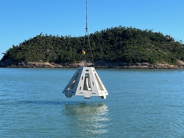 신안군, 다이아몬드 해역 장기 프로젝트 차질 없이 진행..'인공어초 투하, 해조류 이식, 수산종자 방류 등 바다 낚시터 조성 가속' 2