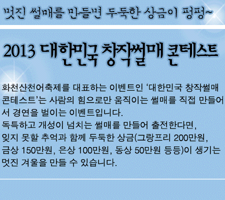 2013 대한민국 창작썰매 콘테스트 1