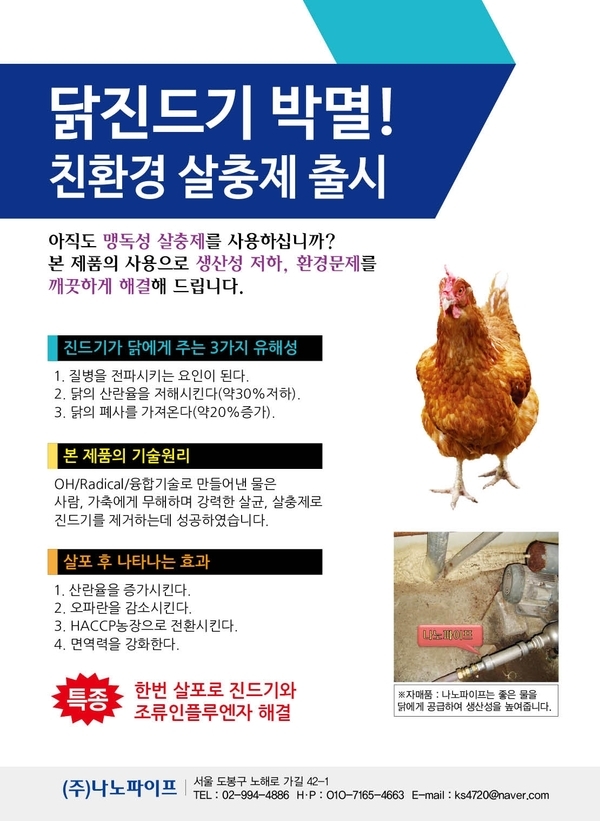 닭:진드기제거 1